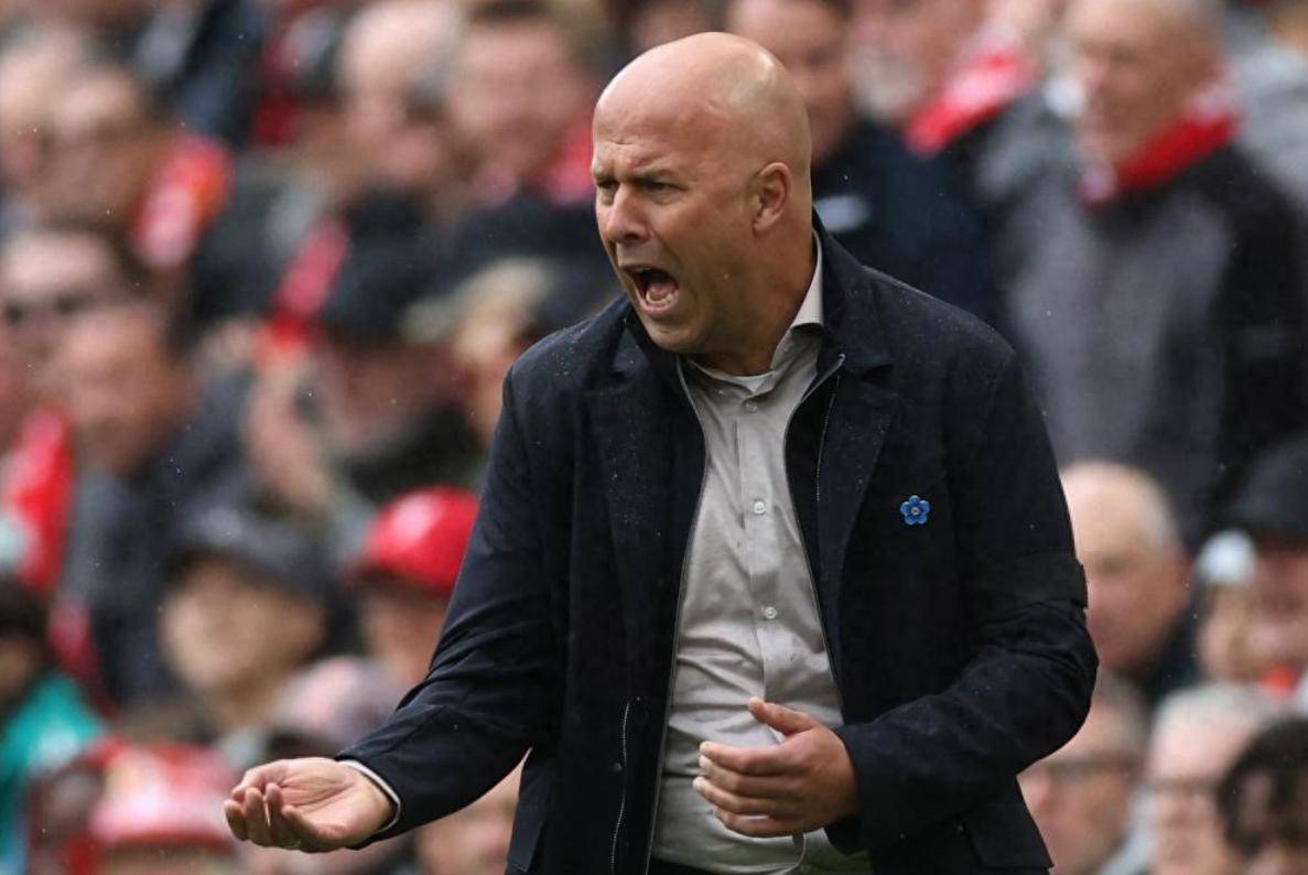 salesassistant中文翻译-尊龙在线入口