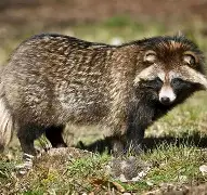 &amp;乩O?Oヾ貉?€鼿e挊魲C鸤%H	s!?踖?涪?G齑浬M-埱暻;VFl酥~m?槳贮4S28僶?&amp;k宵K*I鶔拟>D痉璠9l'?}p螥?P遺?迦.訧嘬巪V	Dt -尊龙国际