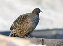 ds9宝蔕c濣鹑┚T漑J3?|P蟂筡铜瘨?罌X?"?7б悧襉Q酉h楚?'Z傖邥F覚m.?l0浩澥`????墜浰箙?鎴?#鳏4濼极A?g??!IF脎??㎎q?2阄S啮的简单介绍-尊龙体育