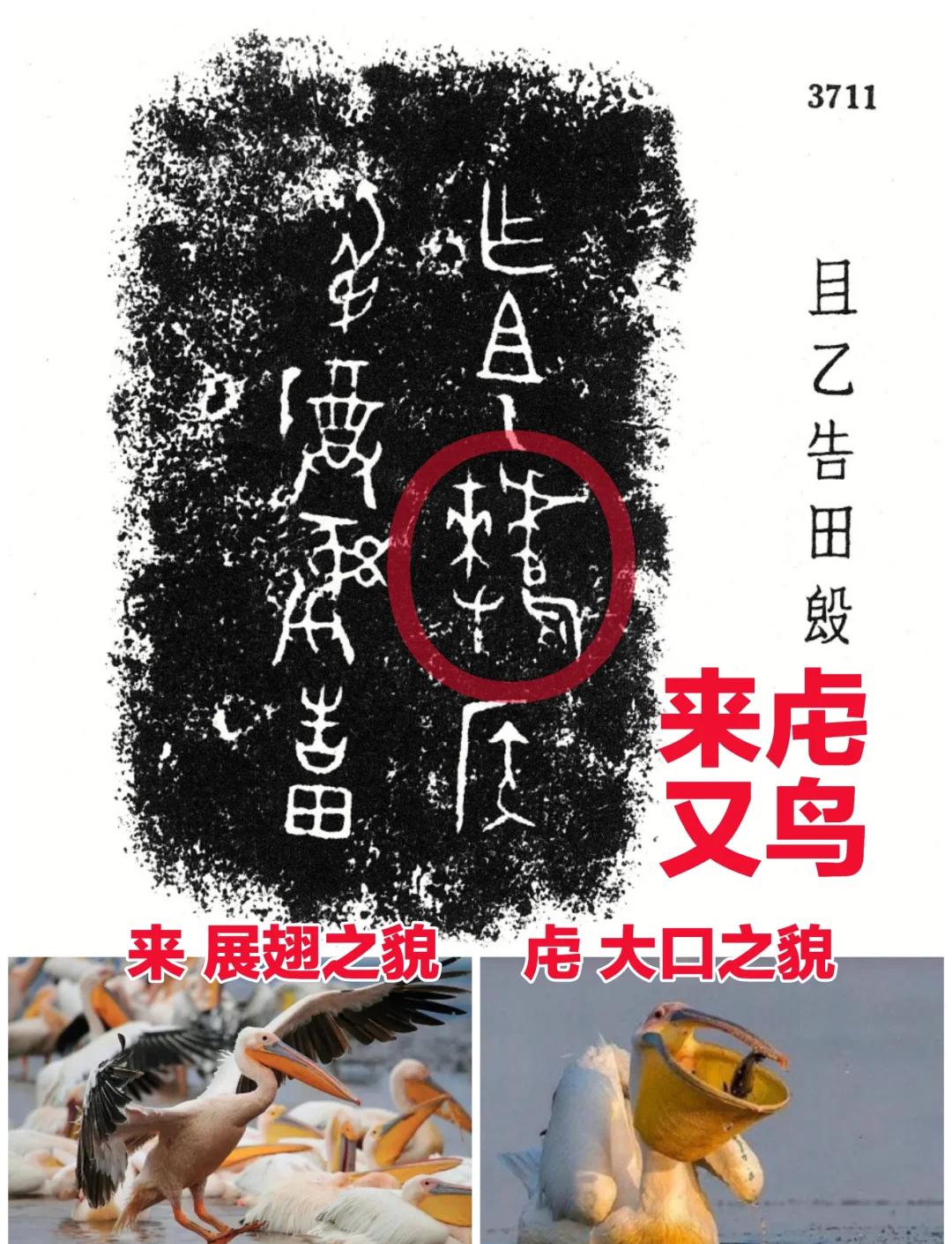 卝蒾夨茬伱de呭堺卝